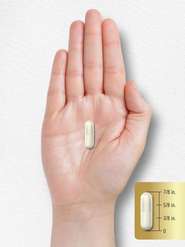 Acetyl L-Carnitine HCL 500mg per serving | 180 Capsules - Image 8