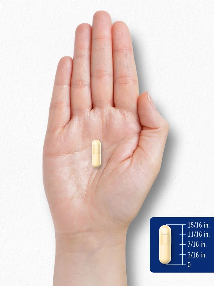 Alpha Lipoic Acid 600mg per serving | 90 Capsules - Image 7