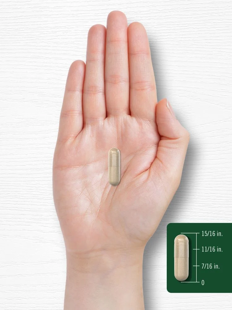 Ashwagandha | 300 Capsules - Image 8