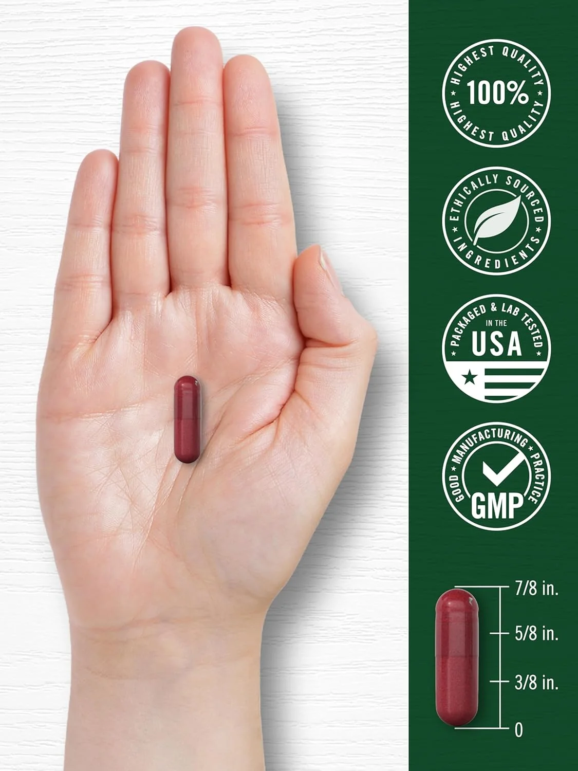 Beet Root | 120 Capsules - Image 7