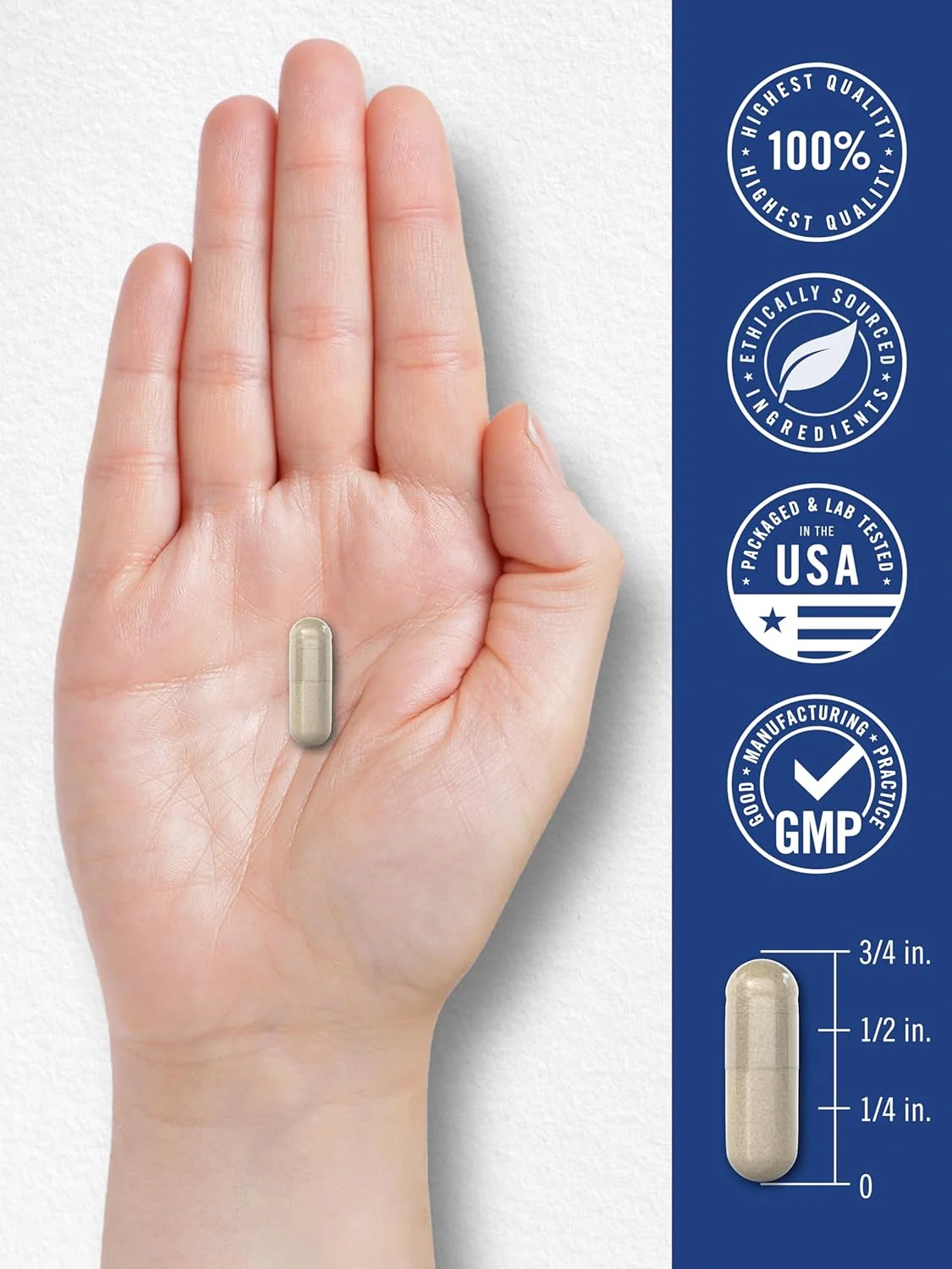 Bloat and Metabolism Probiotic | 90 Capsules - Image 7