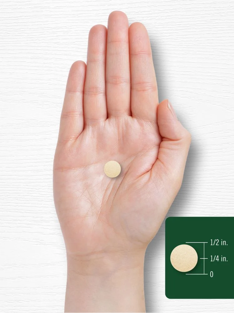Brewers Yeast 1500mg per serving | 500 Tablets - Image 7
