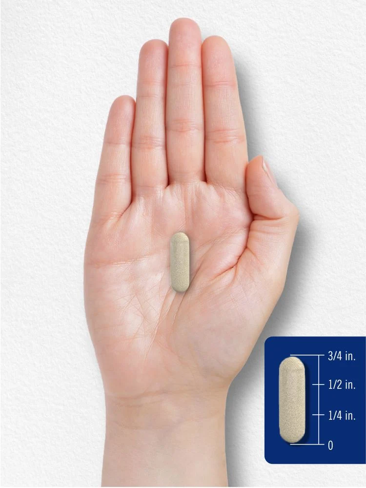 Butterbur Extract Standardized 150mg per serving | 180 Capsules - Image 7