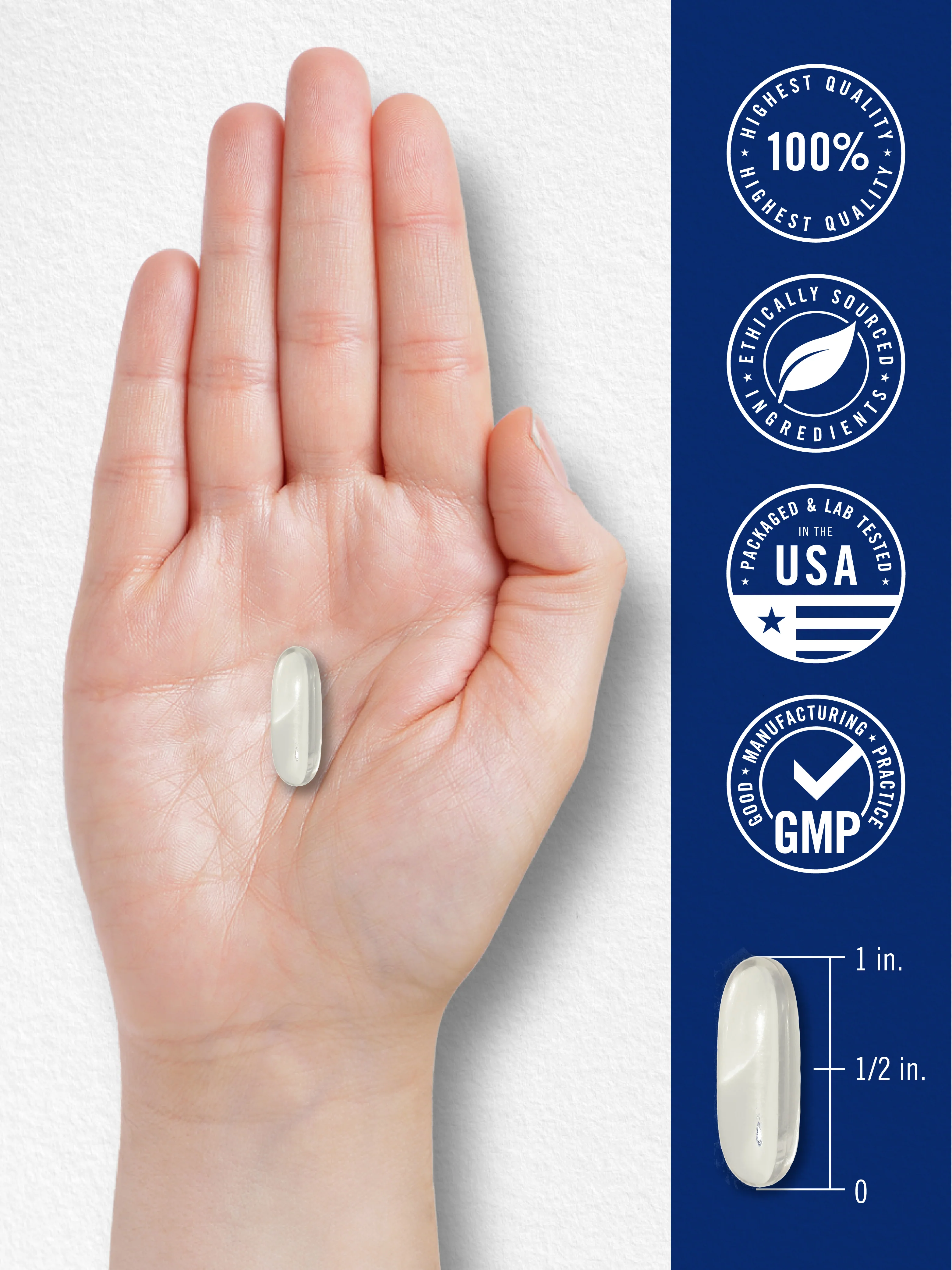 Calcium 1200 mg with Vitamin D3 | 250 Softgels - Image 7