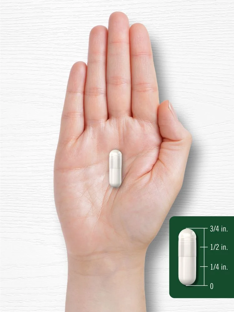 Celery Seed Extract | 240 Capsules - Image 7