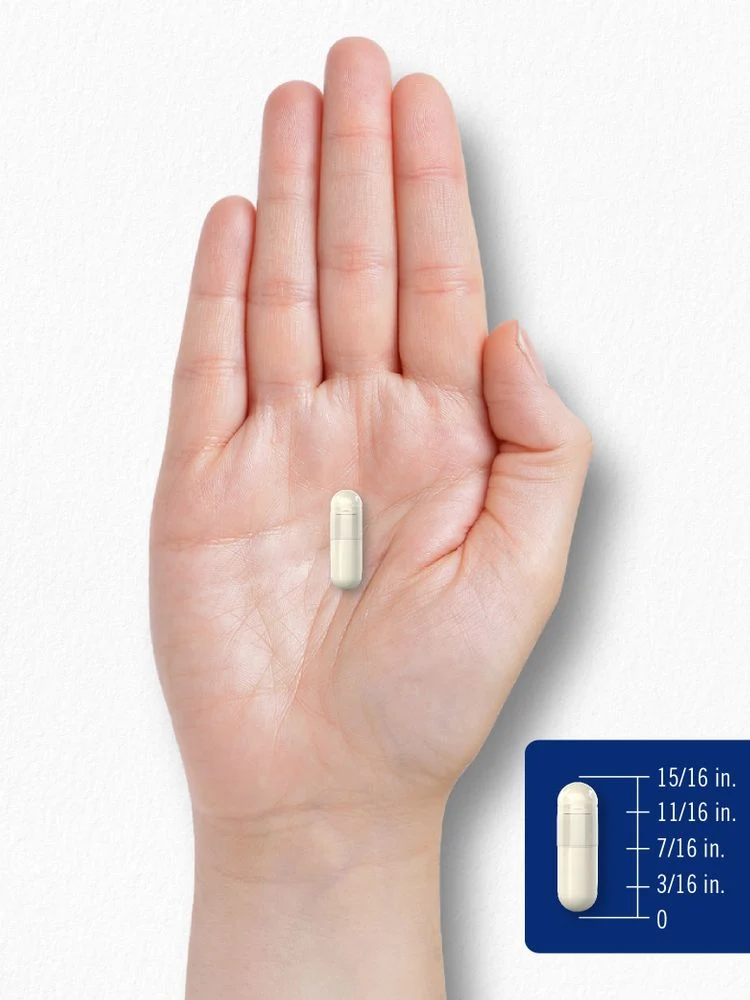 Chitosan 1200mg per serving | 120 Capsules - Image 7