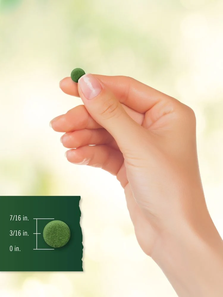 Chlorella Blue Green Algae 250mg | 200 Tablets - Image 8