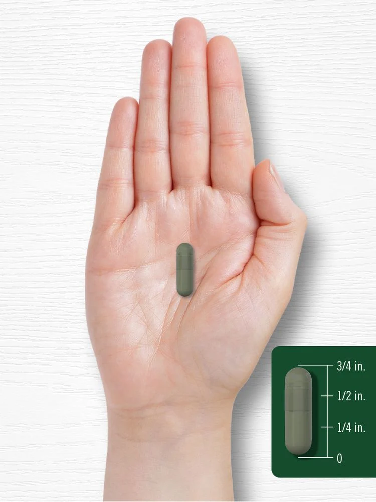 Chlorophyll | 90 Capsules - Image 7