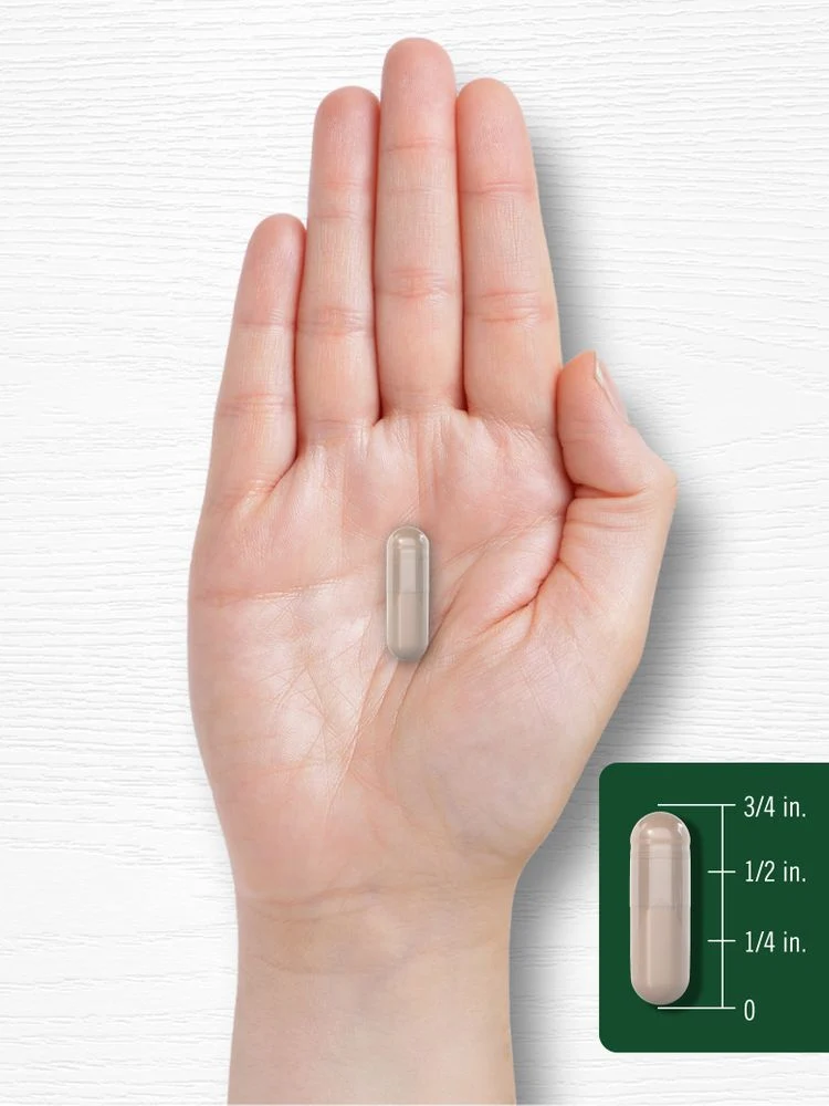 Cissus Quadrangularis | 200 Capsules - Image 7