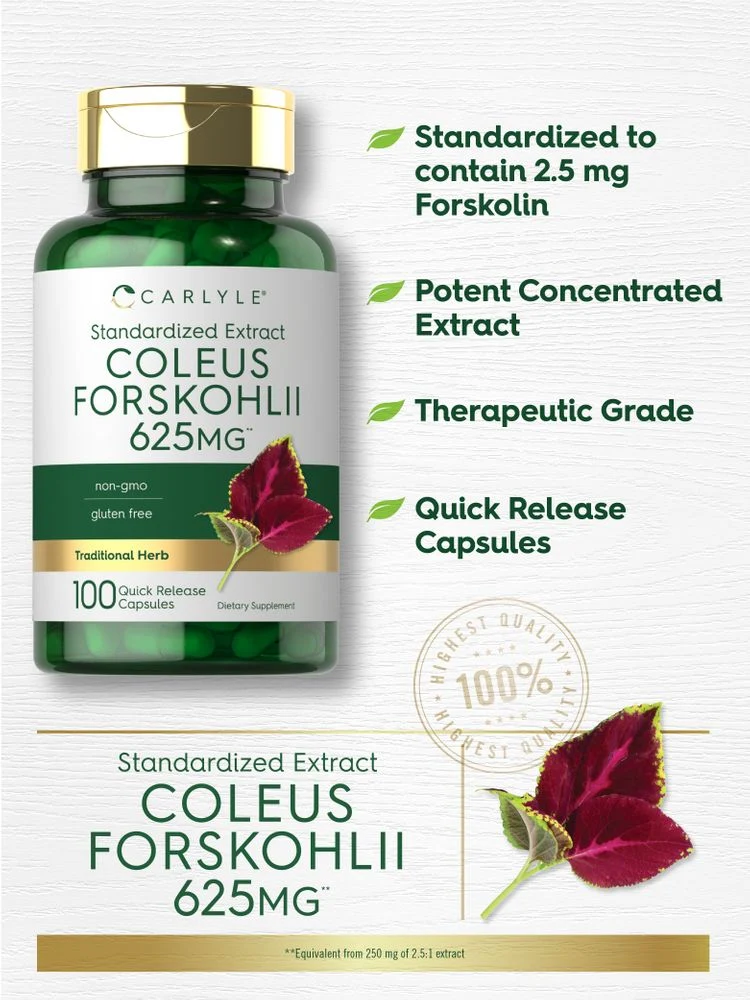 Coleus Forskohlii | 100 Capsules - Image 3