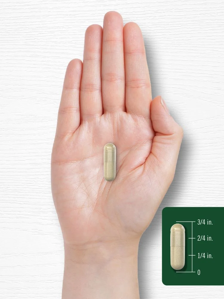 Cordyceps Mushroom | 150 Capsules - Image 8