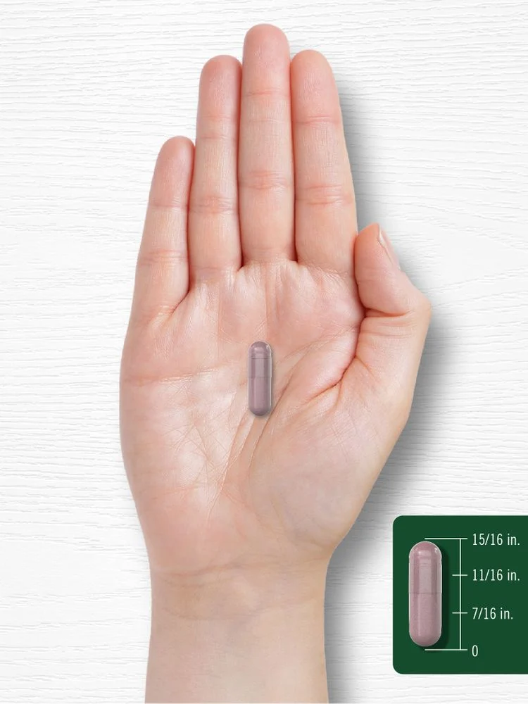 Cranberry | 90 Capsules - Image 7