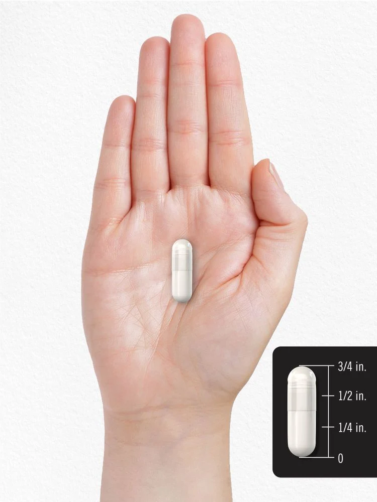 DHEA 100mg per serving | 300 Capsules - Image 7