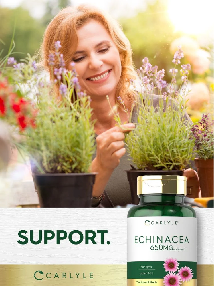 Echinacea | 120 Capsules - Image 7