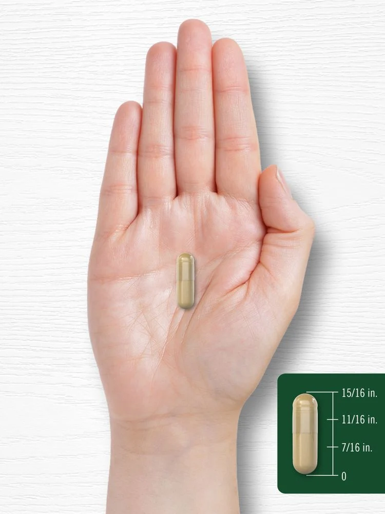 Echinacea Goldenseal | 110 Capsules - Image 8