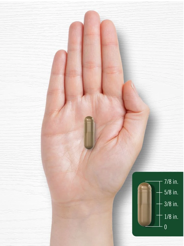 Fennel Seed 480mg | 200 Capsules - Image 7