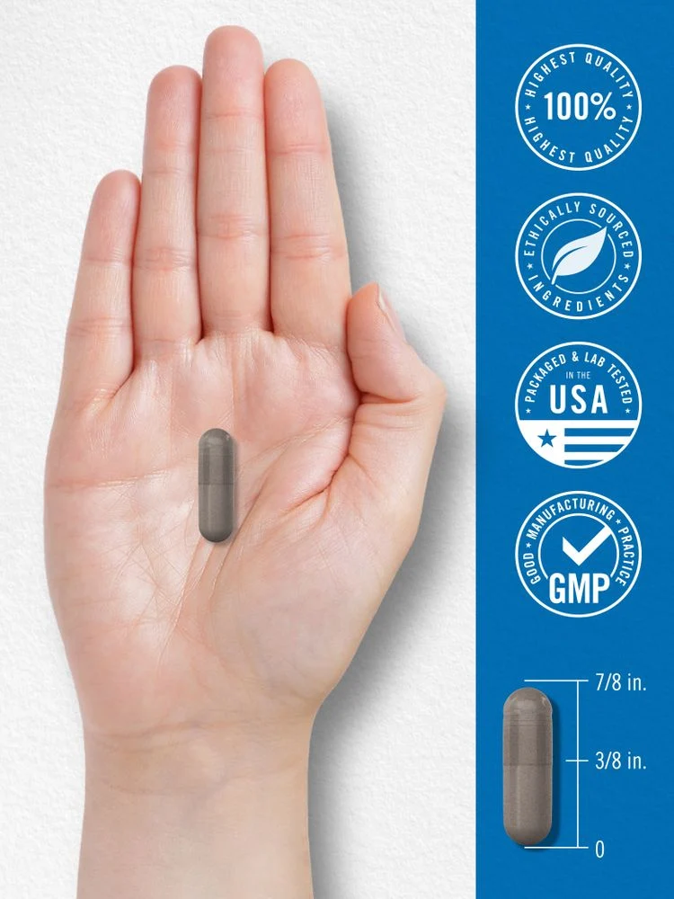 Fiber and Probiotic Supplement | 60 Capsules - Image 7