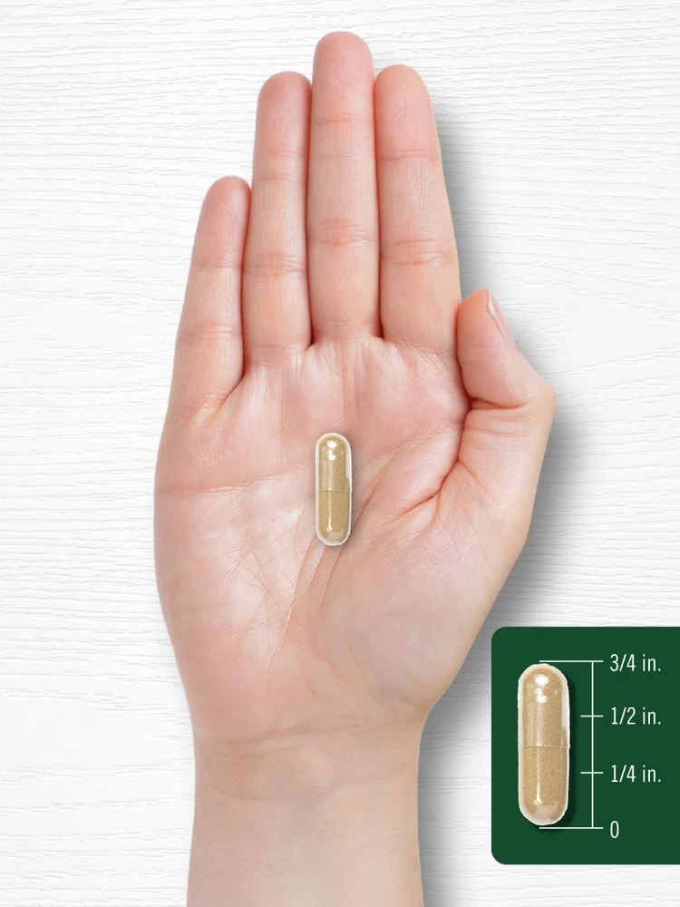 Fo-Ti Root | 180 Capsules - Image 7