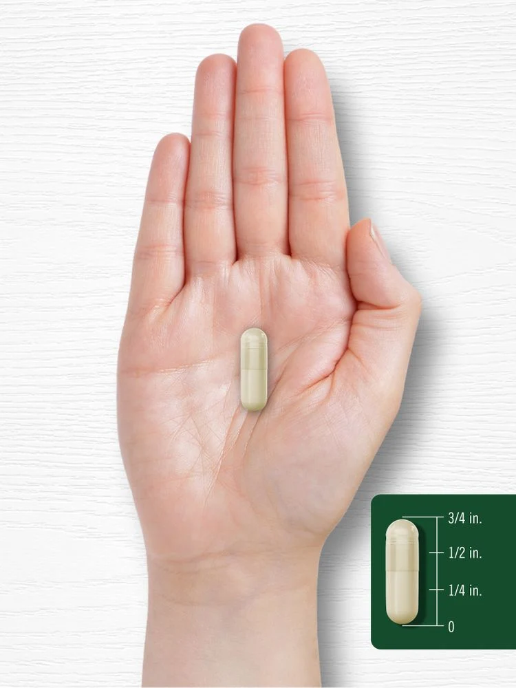 Garcinia Cambogia | 180 Capsules - Image 8