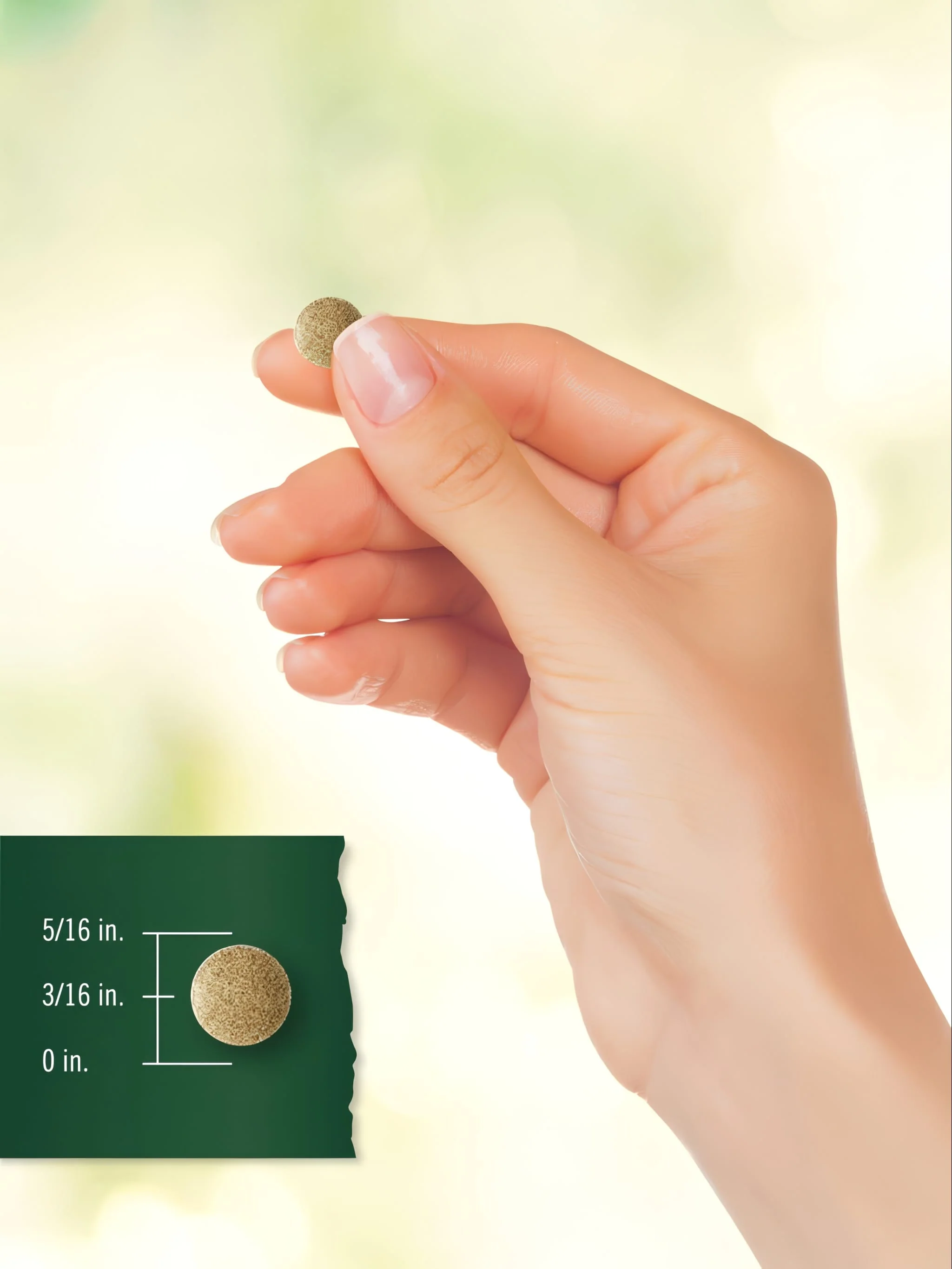 Ginkgo Biloba | 200 Tablets - Image 8