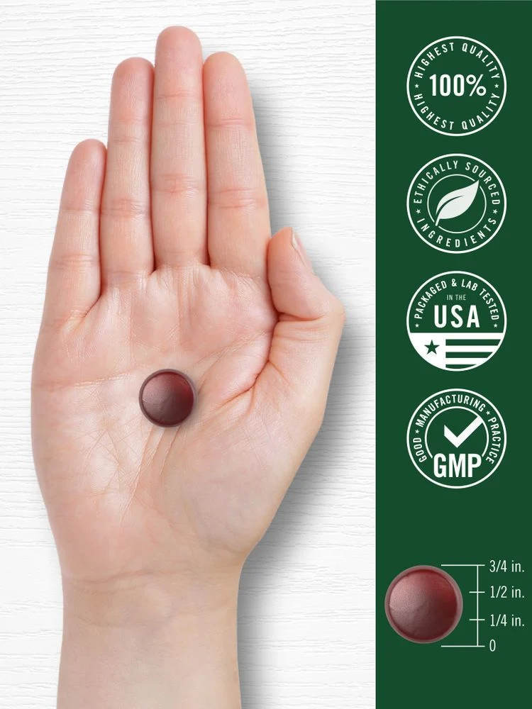Ginkgo Biloba | 70 Gummies - Image 7