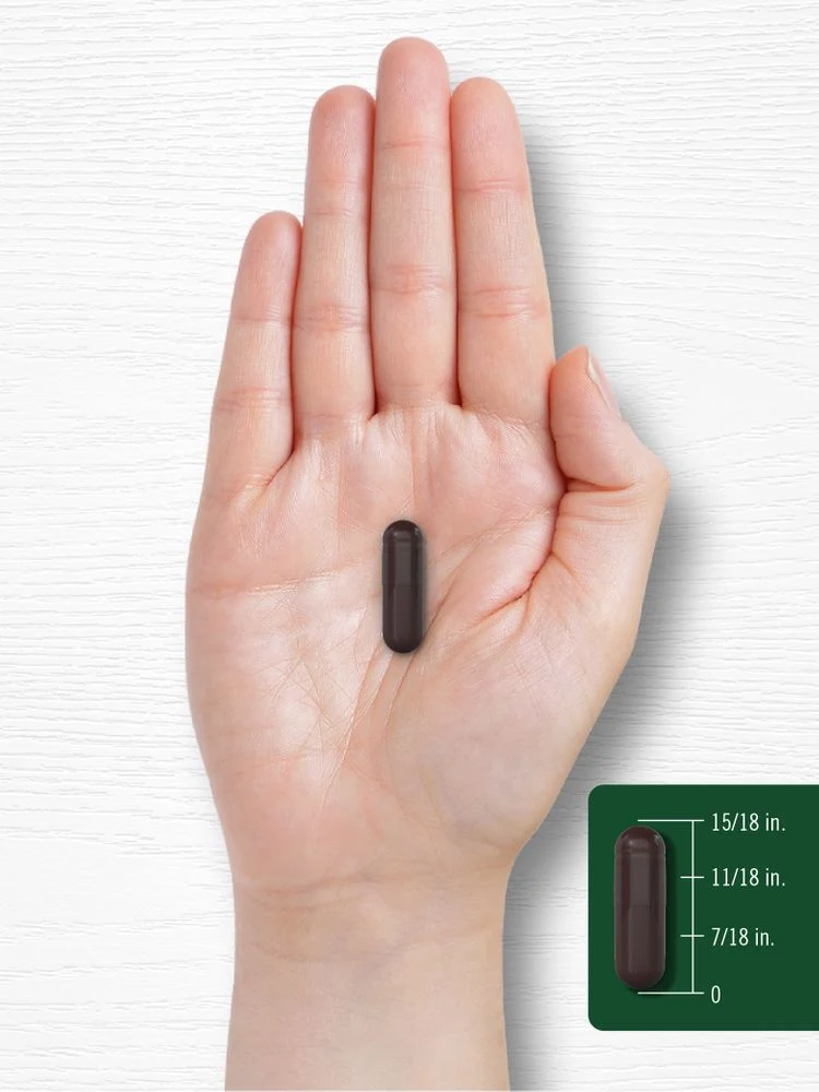 Grapeseed, Green Tea, Pine Bark | 150 Capsules - Image 7