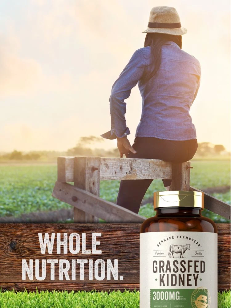 Grass Fed Beef Kidney 3000mg per serving | 200 Capsules - Image 6