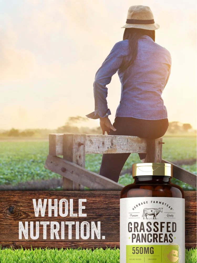Grass Fed Beef Pancreas 550mg per serving | 200 Capsules - Image 6