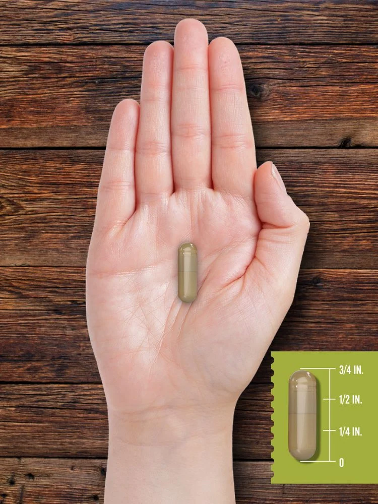 Grass Fed Beef Pancreas 550mg per serving | 200 Capsules - Image 7