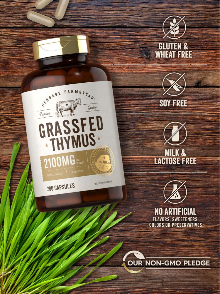 Grass Fed Beef Thymus 2100mg per serving | 200 Capsules - Image 4