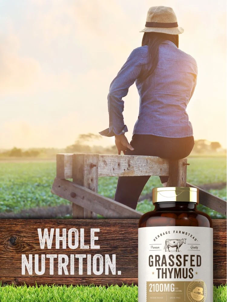 Grass Fed Beef Thymus 2100mg per serving | 200 Capsules - Image 6