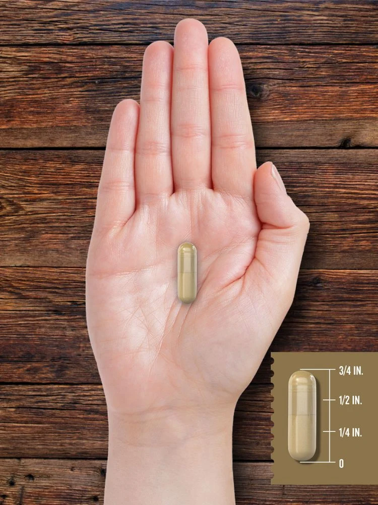 Grass Fed Beef Thymus 2100mg per serving | 200 Capsules - Image 7