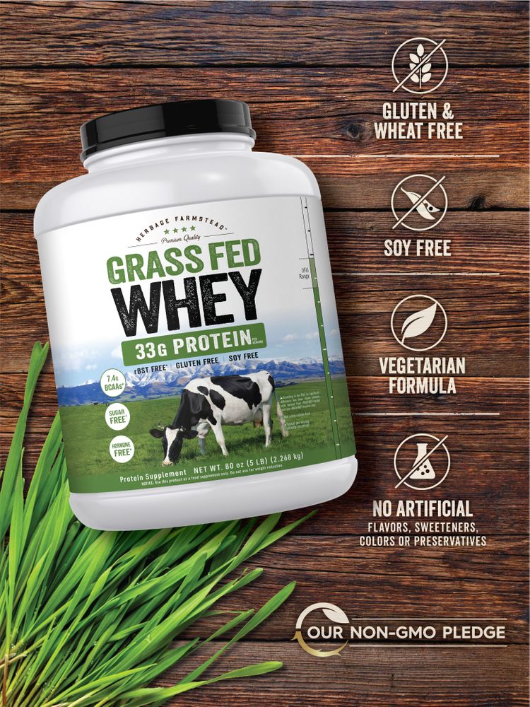 Grass Fed Whey Protein | 5lb Powder - Image 5