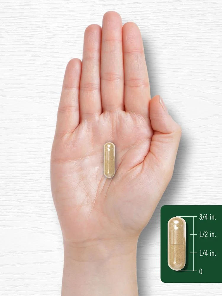 Holy Basil | 200 Capsules - Image 7