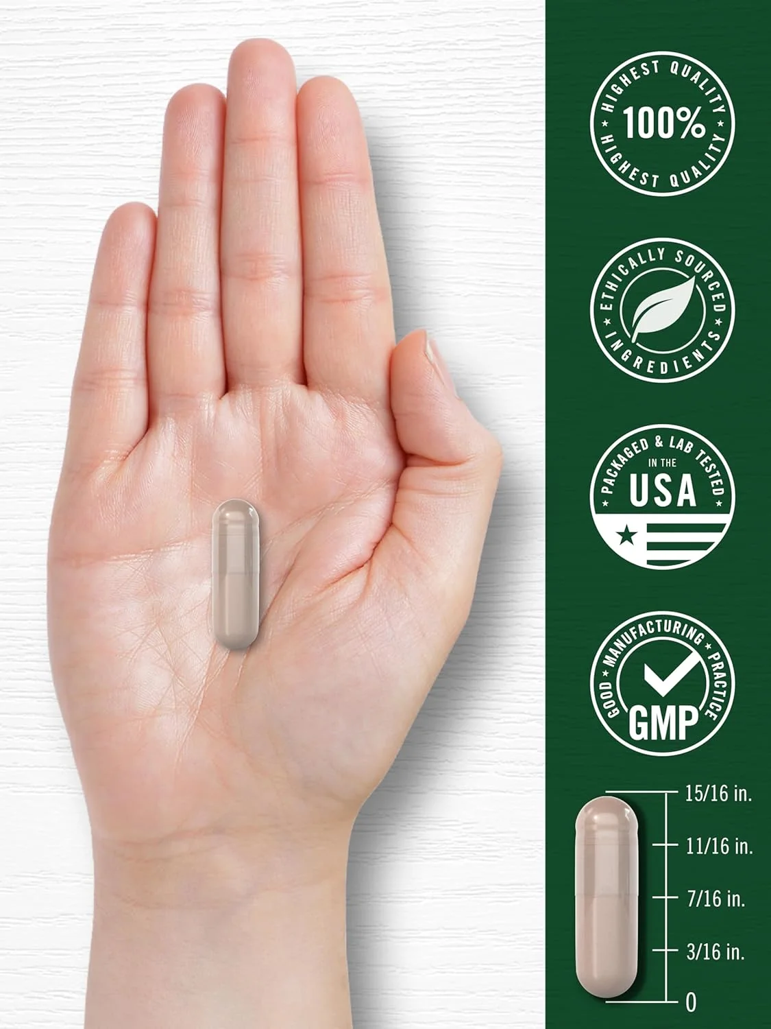 Horse Chestnut 600mg per serving | 180 Capsules - Image 7