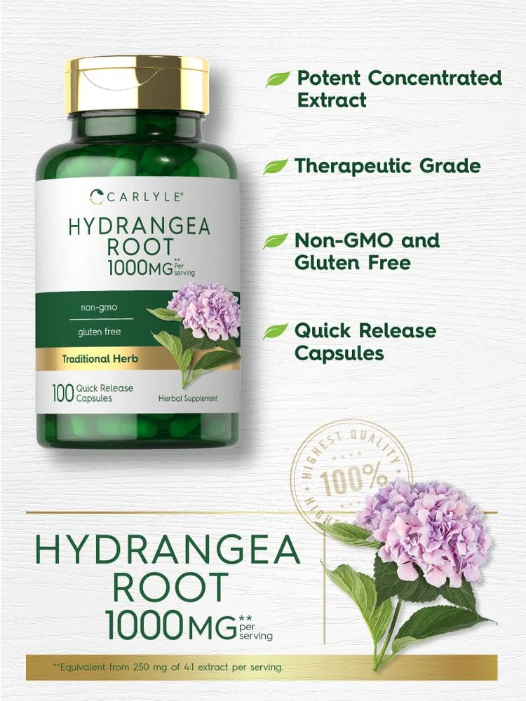 Hydrangea Root | 100 Capsules - Image 3