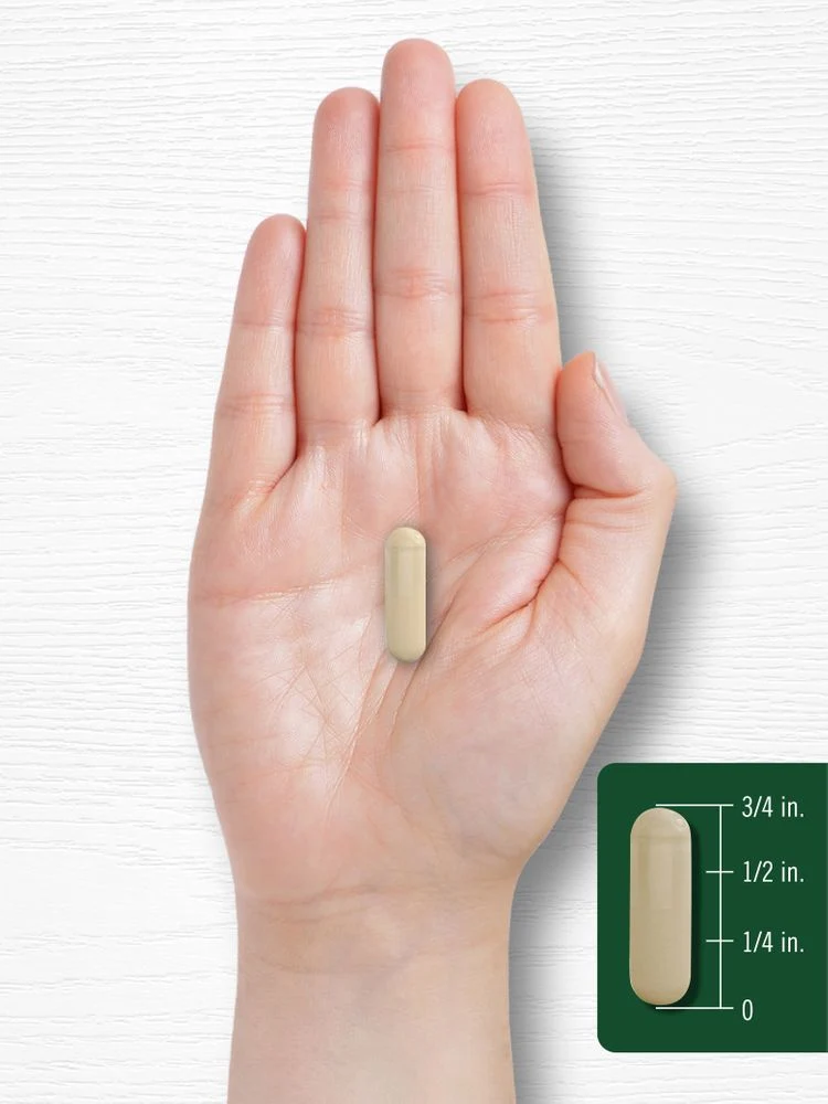 Kale Extract | 120 Capsules - Image 7