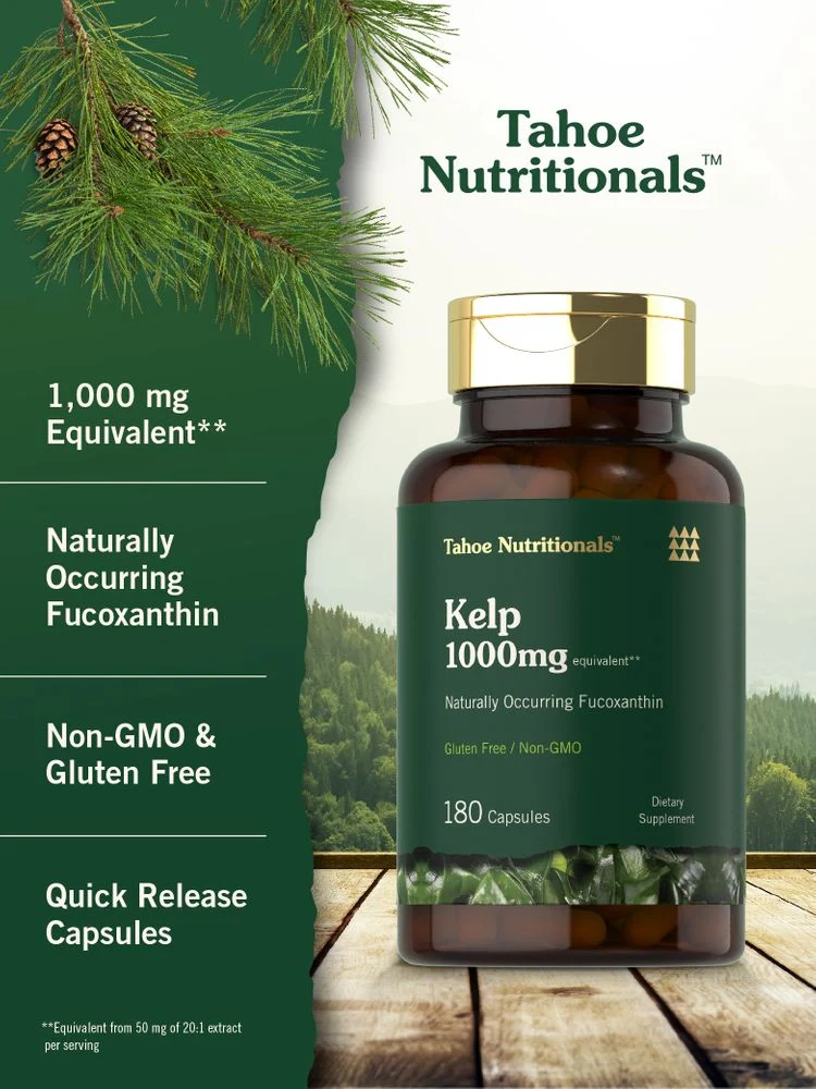 Kelp Supplement | 180 Capsules - Image 4