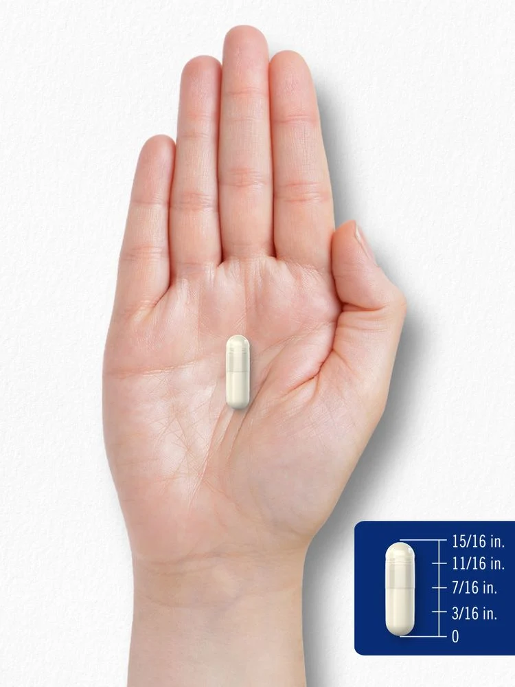 L-Arginine 500mg | 240 Capsules - Image 8