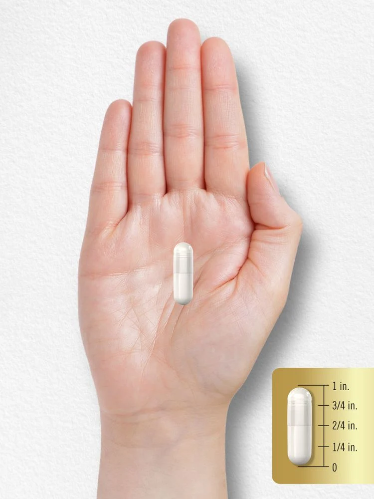 L-Citrulline 1600mg per serving | 200 Capsules - Image 8