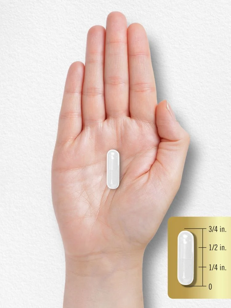 L-Glutamine 1500mg per serving | 240 Capsules - Image 7