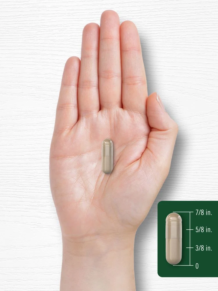 Lions Mane | 60 Capsules - Image 7