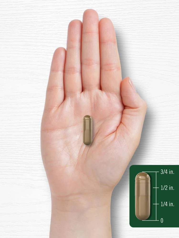 Mulberry Leaf | 100 Capsules - Image 7