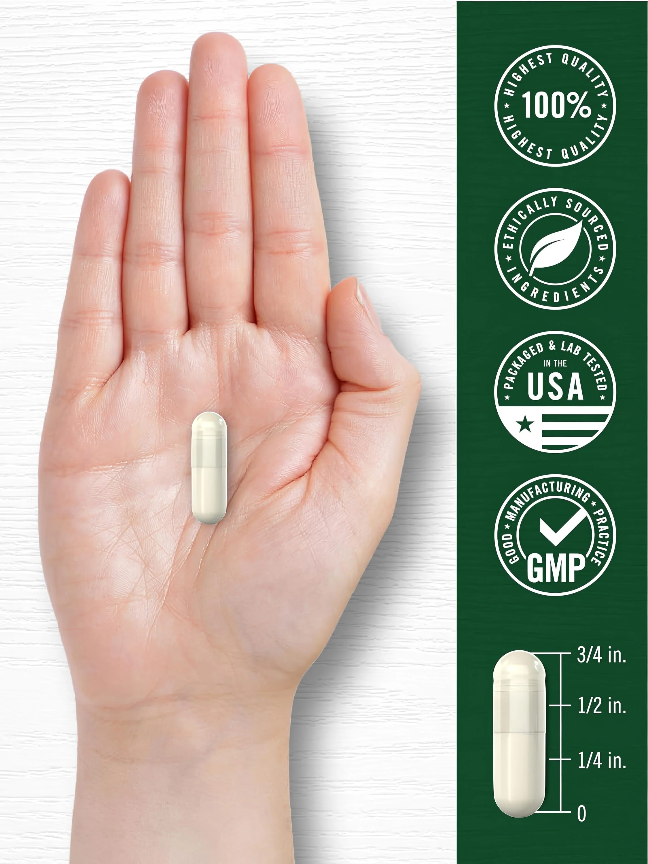 Mullein Leaf | 200 Capsules - Image 7