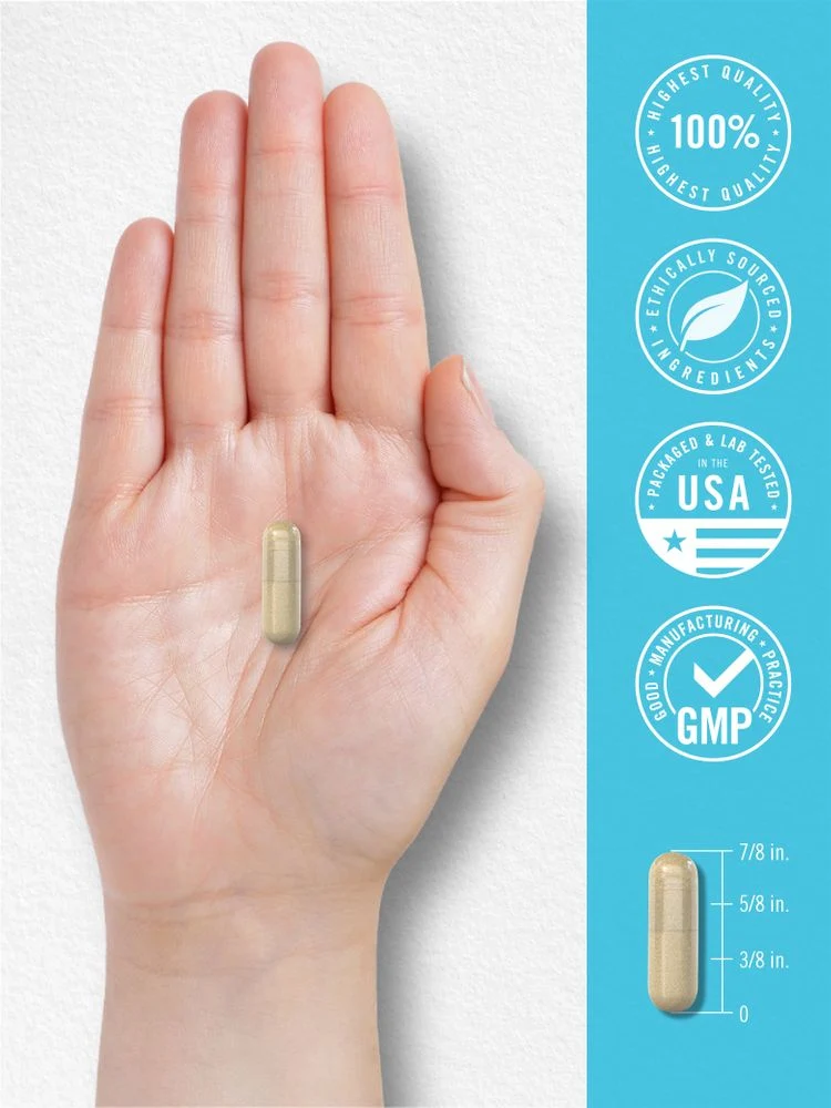 NAD+ Supplement 1000 mg | 60 Capsules - Image 7