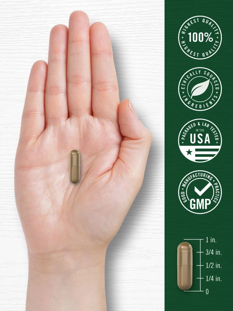 Olive Leaf Extract Capsules | 70 Count - Image 7