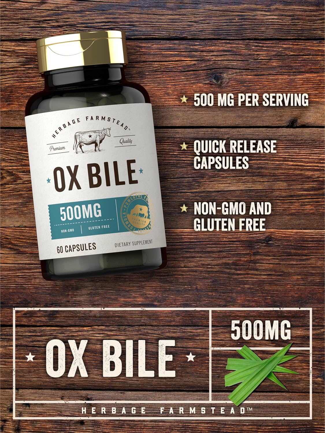 Ox Bile 500mg | 60 Capsules - Image 4