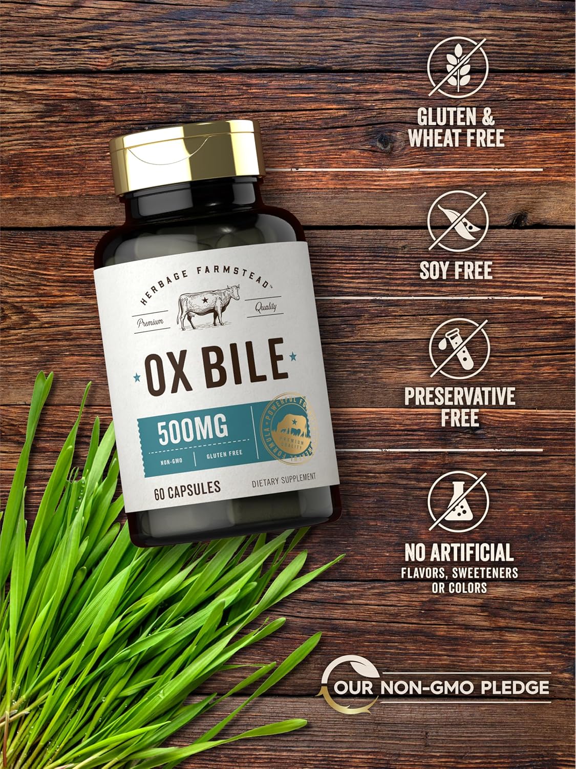Ox Bile 500mg | 60 Capsules - Image 5