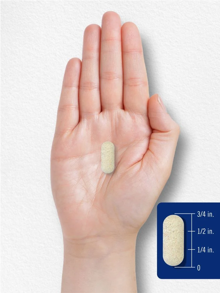 Pancreatin Digestive Enzymes | 250 Caplets - Image 7