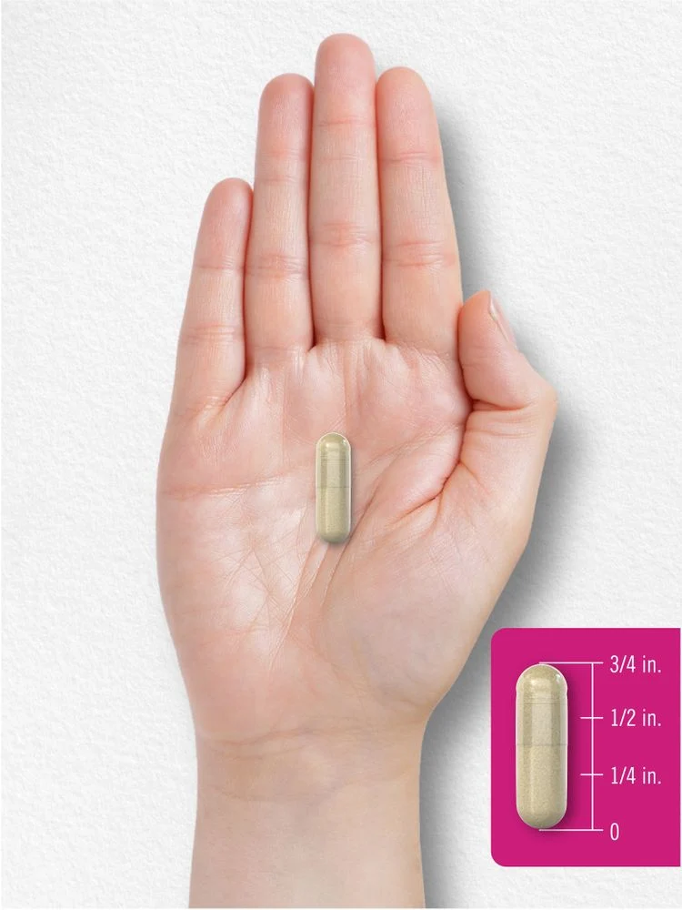Phytoceramide Complex | 90 Capsules - Image 7